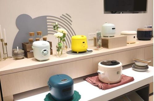 失去了年輕人的寵愛(ài)，小家電行業(yè)該如何破局？