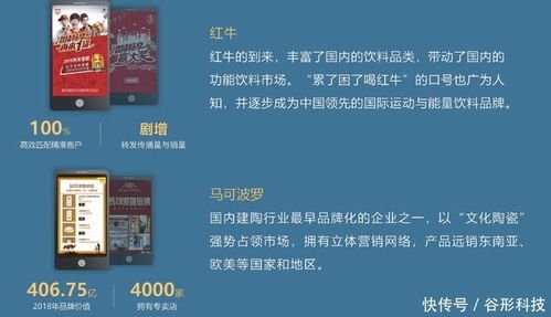 谷形科技 專業Java定制開發與營銷推廣服務，助力企業數字化升級