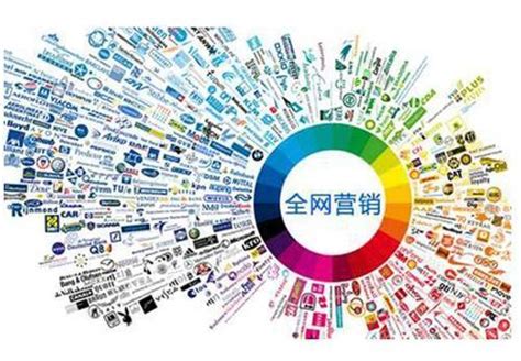 網(wǎng)絡(luò)推廣營(yíng)銷(xiāo)實(shí)戰(zhàn)全攻略與推廣員高效執(zhí)行指南