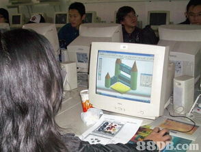 數(shù)字時(shí)代的教育創(chuàng)新 探索移動(dòng)計(jì)算機(jī)互聯(lián)網(wǎng)與計(jì)算機(jī)系統(tǒng)服務(wù)在學(xué)校建設(shè)中的應(yīng)用